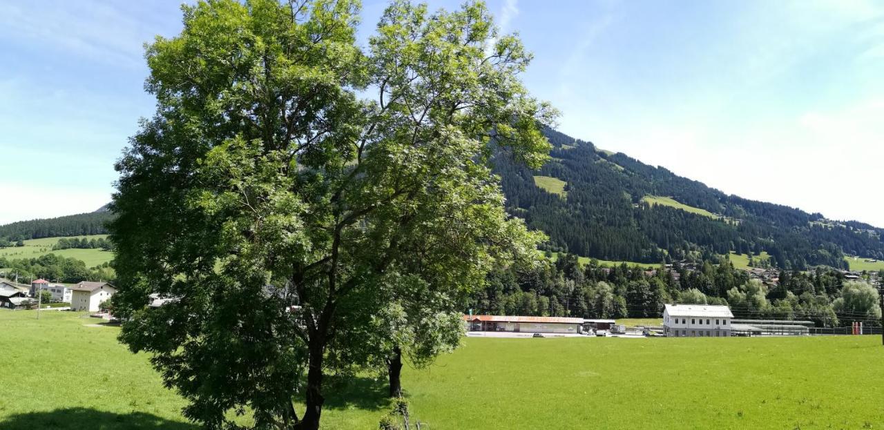 Appartement Sonnentraum Westendorf Exterior foto